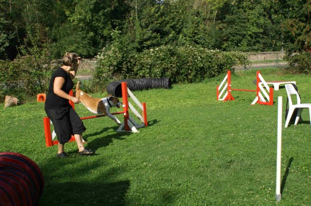 agility 2011-08